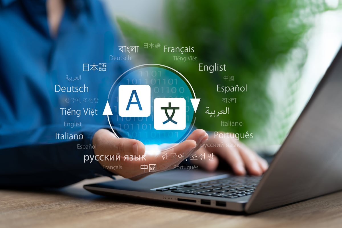 Multilingual communication and language translation support for criminal defence clients