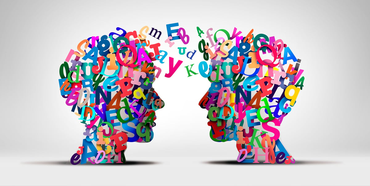 Communication and language support helping diverse clients understand their criminal case in their own language