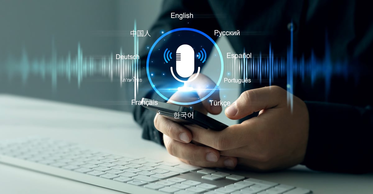 Language translation and interpreter support used to explain criminal charges in a client's own language
